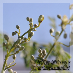 �������K