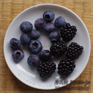 ブルーベリーとブラックベリー　Blue berries and Black berries
