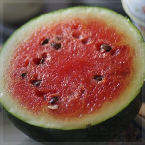Wartermelon